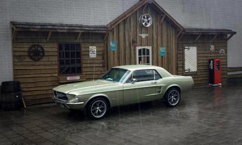 Mustang1967_VN801_1.jpg